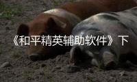 《和平精英辅助软件》下载和使用方法介绍