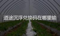 道途沉浮兑换码在哪里输入