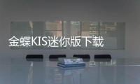 金蝶KIS迷你版下载 11.0 官方版