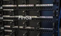 FinGa