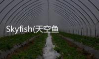 Skyfish(天空鱼传说汉化版下载)  1.5