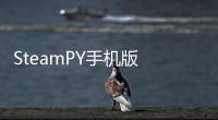 SteamPY手机版 人气热度：27℃