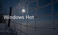 Windows Hotfix Downloader 1.1.8.4 免费版