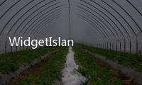 WidgetIsland小组件岛 人气热度：39℃
